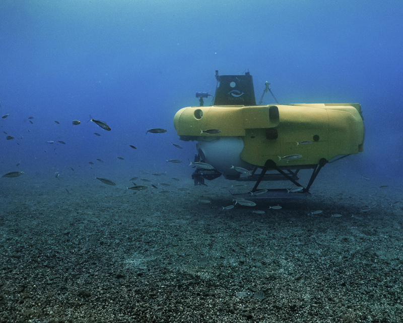 pisces-with-fish-submarine