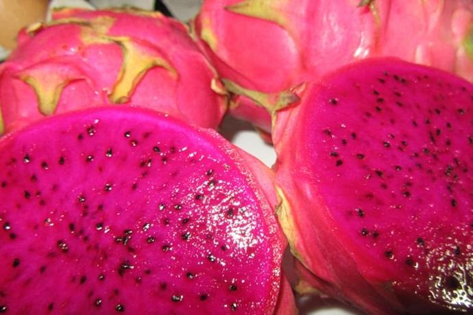 Pitaya - Ingrediente local en Casa África Restaurante Playa